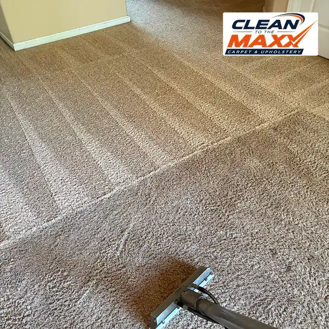 carpet cleaning before after--- carpet cleaning before after—